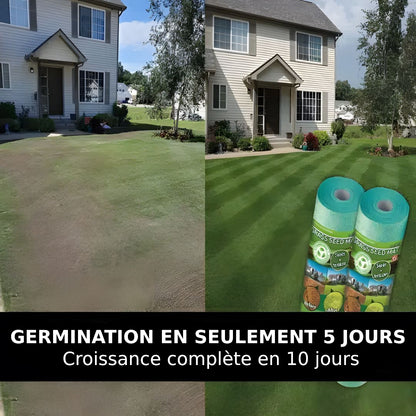 Rouleau de Semences pour Pelouse, Solution Complète en 5 Jours avec Technologie SeedGrow, 100% Biodegradable